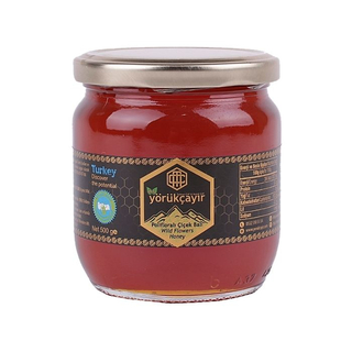 Organik Polifloralı Bal 500g - Yörükçayır
